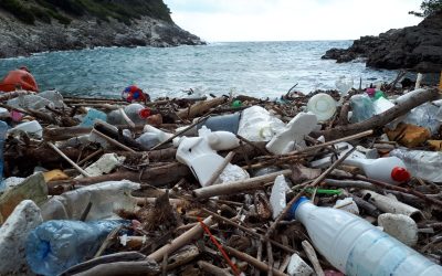 UN plastic treaty, stop single use plastic, petition